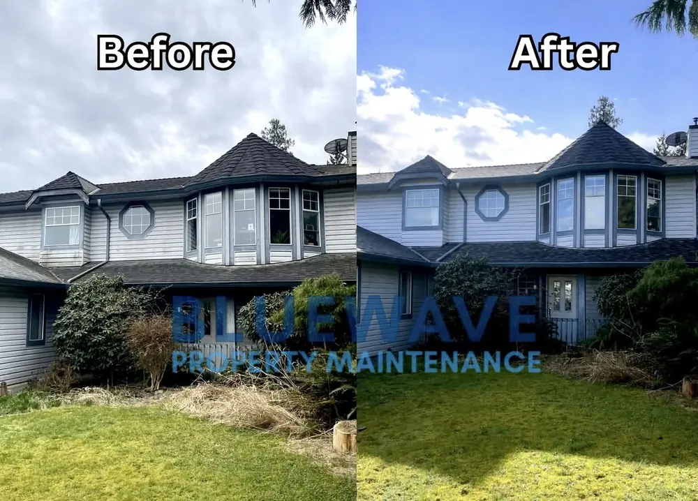 Before and after house exterior soft wash