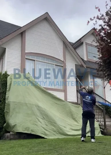 BlueWave technician soft washing a home's exterior wall