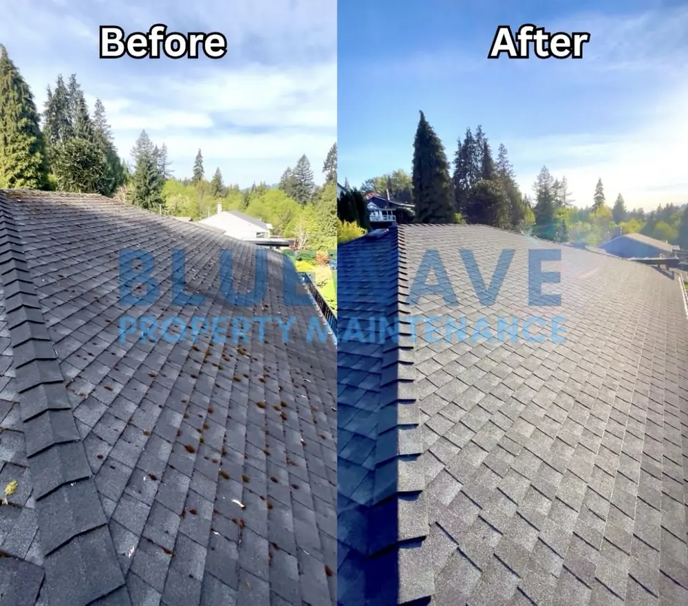 Before and after roof shingle soft wash