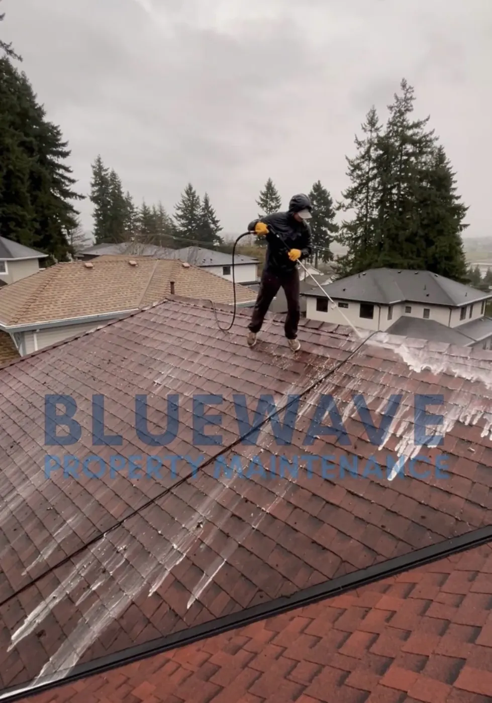 BlueWave technician soft washing a tile roof